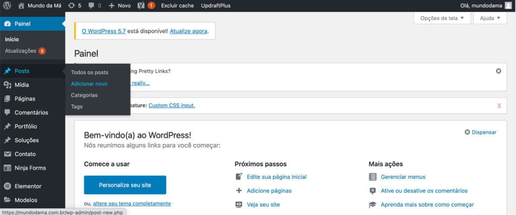 Imagem evidenciando o menu POSTS do wordpress