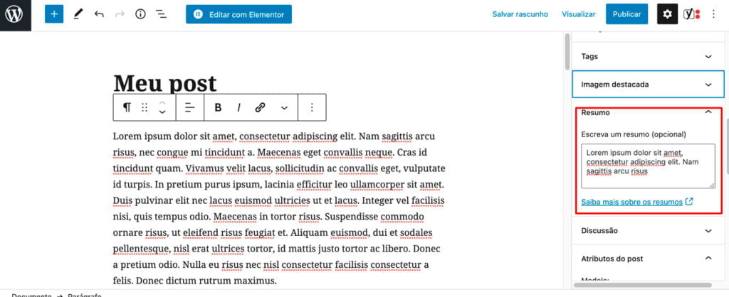 Imagem evidenciando a opção de RESUMO do post