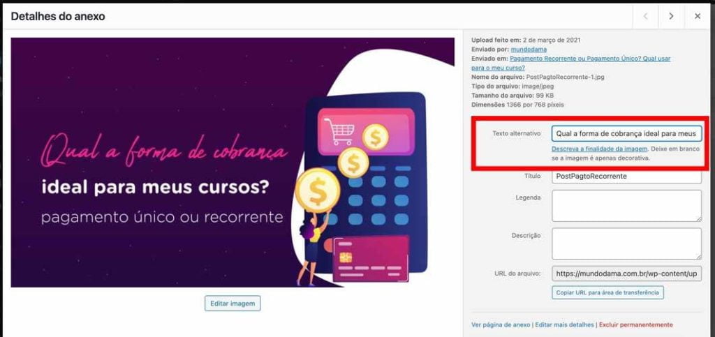 Imagem de exemplo de um anexo da biblioteca de mídia do wordpress, com o campo TEXTO ALTERNATIVO em destaque com um quadrado com bordas vermelhas.